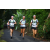 Team 32 / Raid l'Arbre Vert Amazones Bali