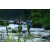 Team 03 / Raid l'Arbre Vert Amazones Bali