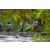 Team 06 / Raid l'Arbre Vert Amazones Bali