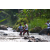 Team 05 / Raid l'Arbre Vert Amazones Bali