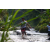 Team 05 / Raid l'Arbre Vert Amazones Bali