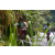 Team 05 / Raid l'Arbre Vert Amazones Bali