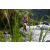 Team 05 / Raid l'Arbre Vert Amazones Bali