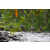 Team 09 / Raid l'Arbre Vert Amazones Bali