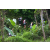 Team 26 / Raid l'Arbre Vert Amazones Bali