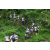 Team 29 / Raid l'Arbre Vert Amazones Bali