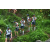 Team 25 / Raid l'Arbre Vert Amazones Bali