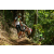 Team 16 / Raid l'Arbre Vert Amazones Bali