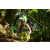 Team 37 / Raid l'Arbre Vert Amazones Bali