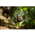 Team 28 / Raid l'Arbre Vert Amazones Bali