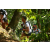 Team 28 / Raid l'Arbre Vert Amazones Bali