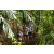 Team 28 / Raid l'Arbre Vert Amazones Bali