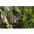 Team 38 / Raid l'Arbre Vert Amazones Bali