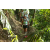 Team 21 / Raid l'Arbre Vert Amazones Bali