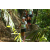 Team 21 / Raid l'Arbre Vert Amazones Bali