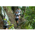 Team 35 / Raid l'Arbre Vert Amazones Bali