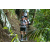 Team 35 / Raid l'Arbre Vert Amazones Bali