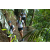 Team 42 / Raid l'Arbre Vert Amazones Bali