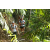 Team 45 / Raid l'Arbre Vert Amazones Bali