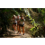Team 45 / Raid l'Arbre Vert Amazones Bali