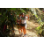 Team 45 / Raid l'Arbre Vert Amazones Bali
