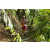 Team 66 / Raid l'Arbre Vert Amazones Bali