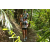 Team 44 / Raid l'Arbre Vert Amazones Bali