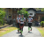 Team 36 / Raid l'Arbre Vert Amazones Bali