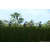 Team 58 / Raid l'Arbre Vert Amazones Bali