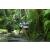 Team 71 / Raid l'Arbre Vert Amazones Bali