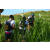 Team 59 / Raid l'Arbre Vert Amazones Bali