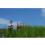 Team 58 / Raid l'Arbre Vert Amazones Bali