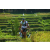 Team 71 / Raid l'Arbre Vert Amazones Bali