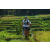 Team 71 / Raid l'Arbre Vert Amazones Bali