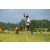 Team 69 / Raid l'Arbre Vert Amazones Bali