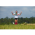 Team 70 / Raid l'Arbre Vert Amazones Bali