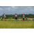 Team 70 / Raid l'Arbre Vert Amazones Bali