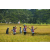 Team 43 / Raid l'Arbre Vert Amazones Bali
