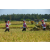 Team 43 / Raid l'Arbre Vert Amazones Bali