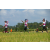 Team 43 / Raid l'Arbre Vert Amazones Bali