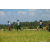 Team 53 / Raid l'Arbre Vert Amazones Bali