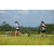 Team 67 / Raid l'Arbre Vert Amazones Bali