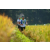 Team 56 / Raid l'Arbre Vert Amazones Bali