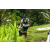 Team 64 / Raid l'Arbre Vert Amazones Bali