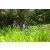 Team 60 / Raid l'Arbre Vert Amazones Bali