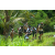 Team 60 / Raid l'Arbre Vert Amazones Bali