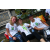 Team 23 / Raid l'Arbre Vert Amazones Bali