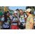 Team 15 / Raid l'Arbre Vert Amazones Bali