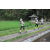 Team 05 / Raid l'Arbre Vert Amazones Bali