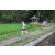 Team 08 / Raid l'Arbre Vert Amazones Bali